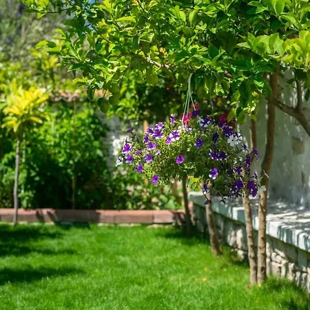 Flores Ξενοδοχείο 3*