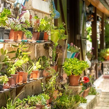 Flores 3* Alacati