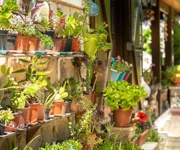 Flores 3* Alacati