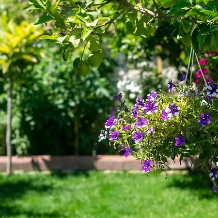Flores 3*