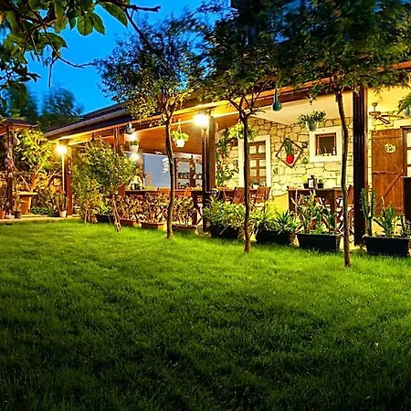 Hotel Flores 3*