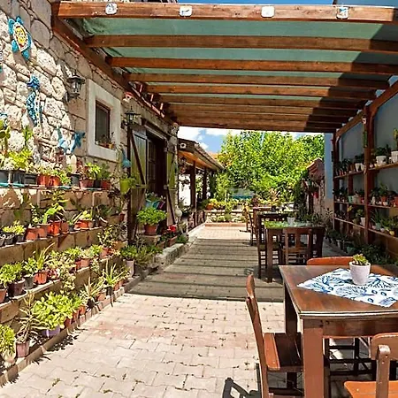 Hotel Flores 3*