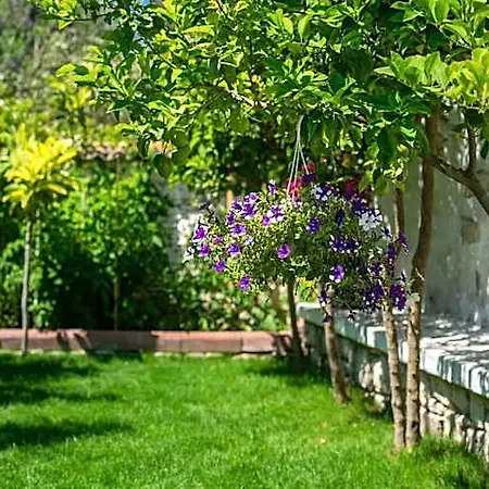 Flores Alaçatı