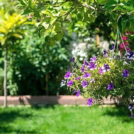 Flores Szálloda 3*