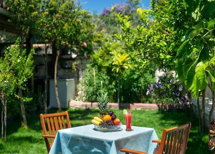 فندق Flores ألاتشاتي