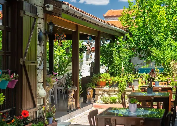 Flores ألاتشاتي